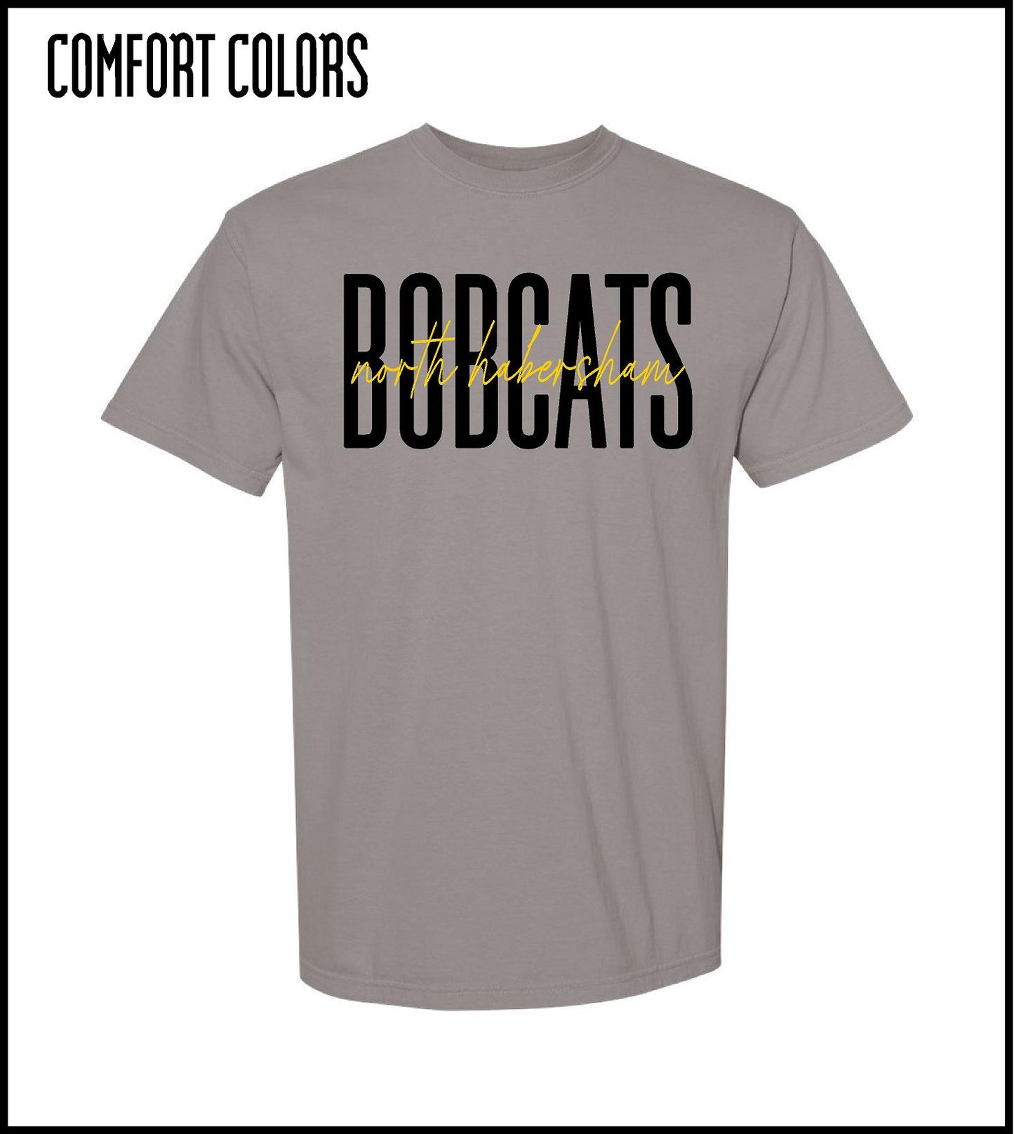 Comfort Colors Tee 2501