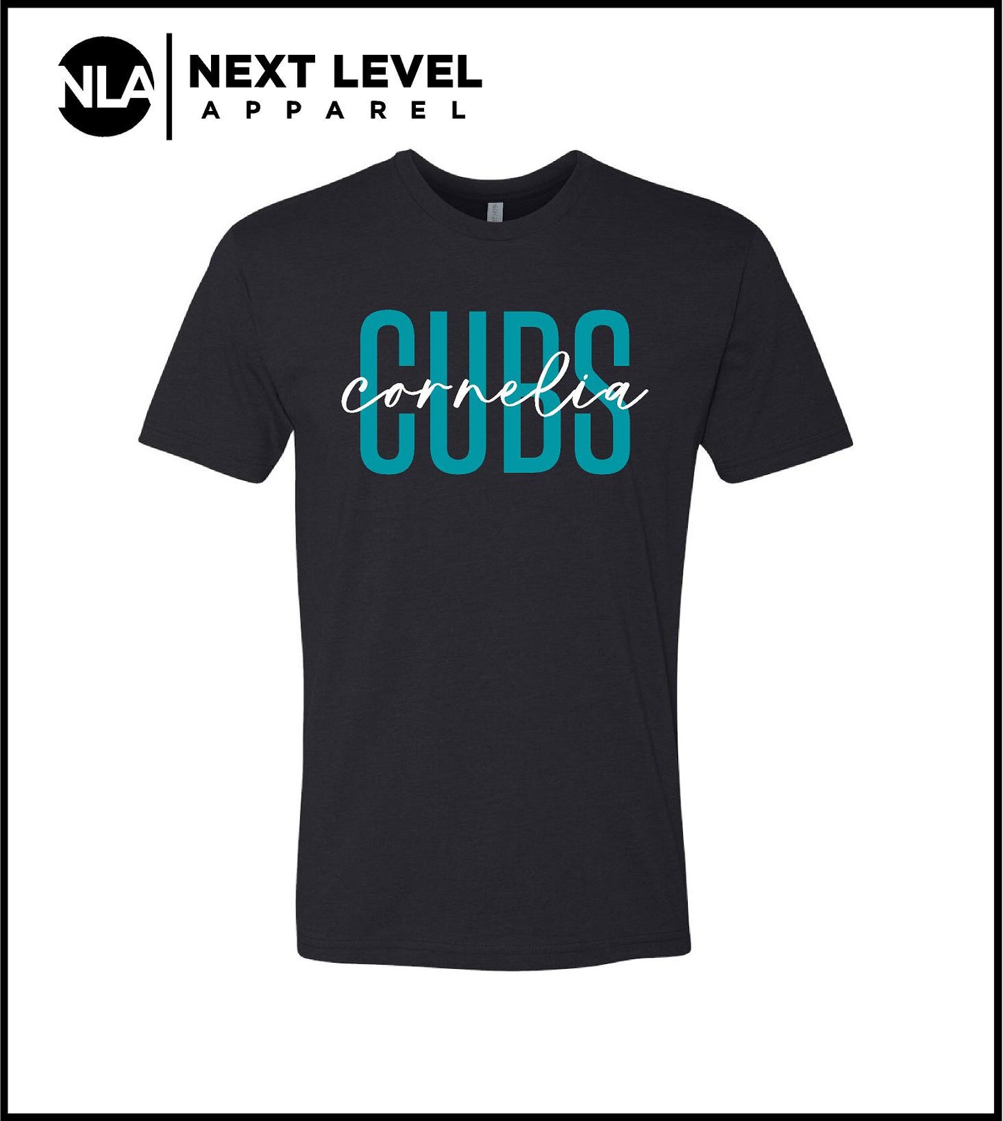 Next Level Tee 2608